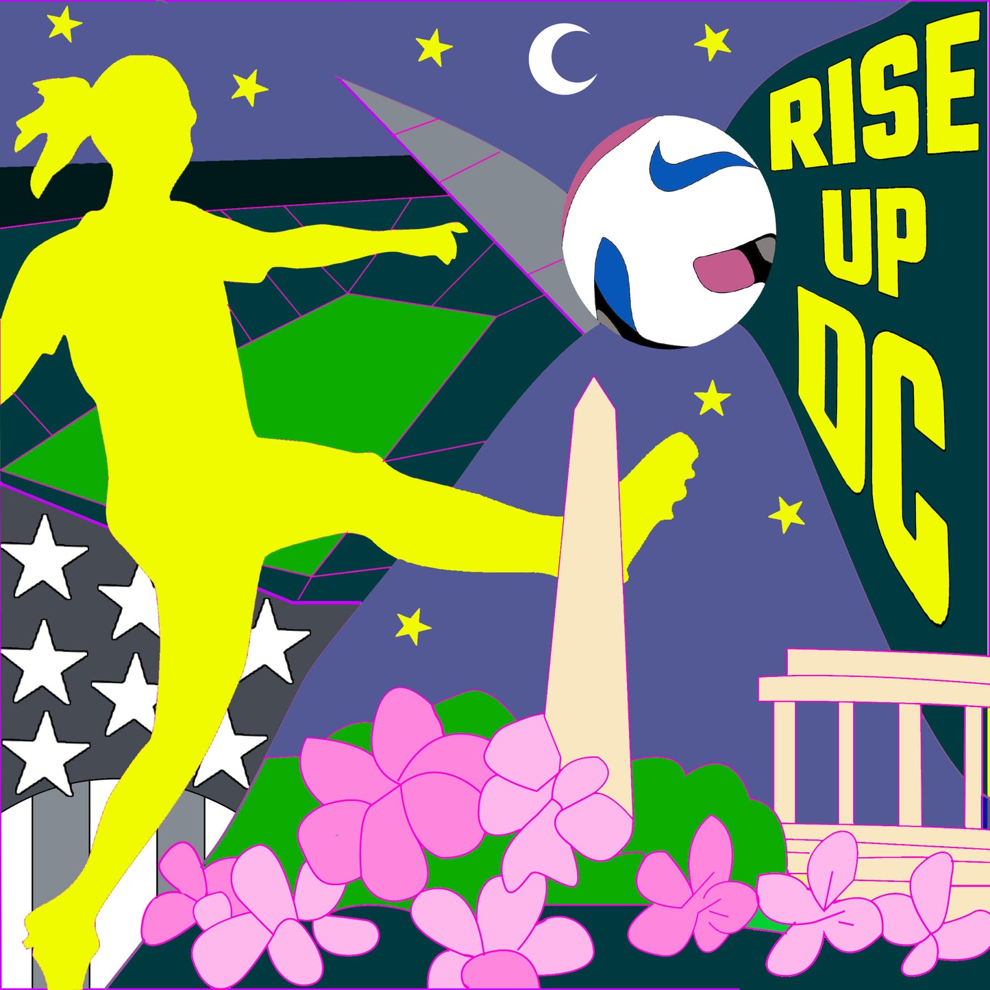Washington Spirit Paint Kits
