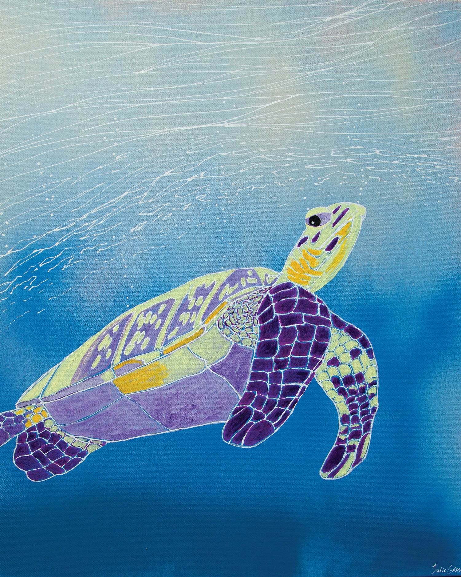 Turtle Prints - 8x10 or 16x20