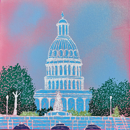 Capitol Building DC 8x8 Print