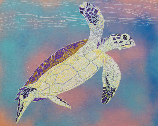 Horizontal Turtle Print (Turtle 3)- 8x10